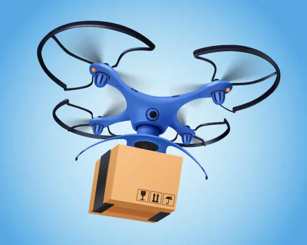 Express document delivery (2–4 hours)